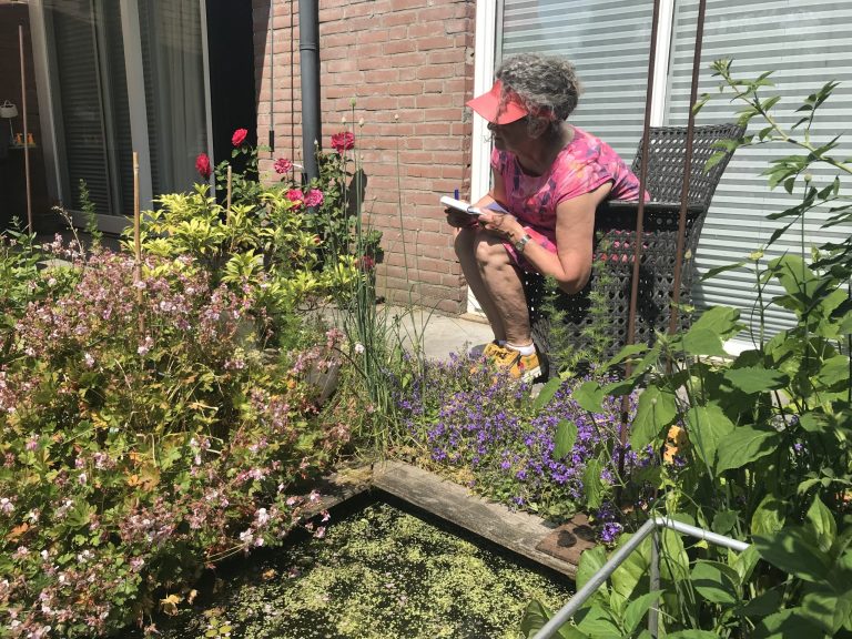 ACHTERHOEK — Welke libellen vliegen er in de Achterhoek? Tuintelling roept inwoners op mee te doen
