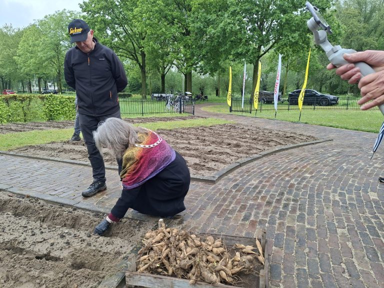 LICHTENVOORDE — Burgemeester plant eerste dahliaknollen voor Bloemencorso Lichtenvoorde