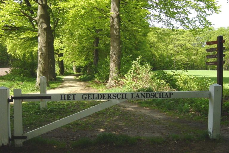 DOETINCHEM — Boswachter neemt deelnemers mee op zomeravondwandeling in Hagen