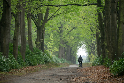LANDELIJK — Exclusief wonen in Overijssel: een van de mooiste provincies van Nederland