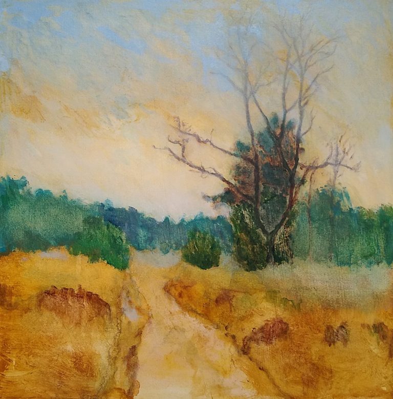 BREDEVOORT — Kunstcollectief LNDSCHP toont zes perspectieven op landschap in Bredevoort