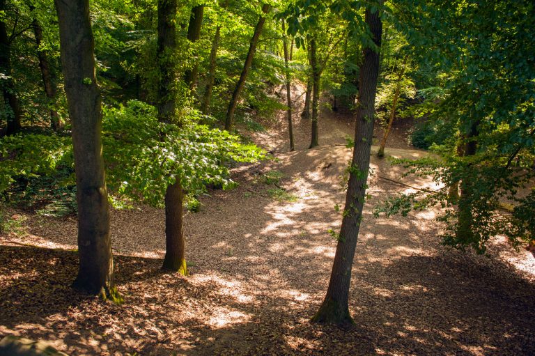 LOCHEM — Zomerwandeling over de Lochemse Berg met boswachter