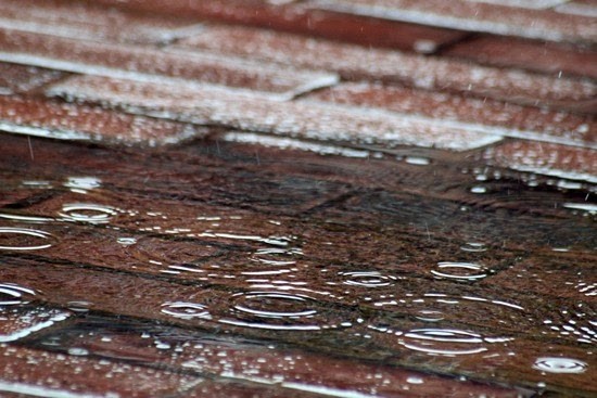 Groene tuin helpt water vasthouden tijdens uitzonderlijke droogte