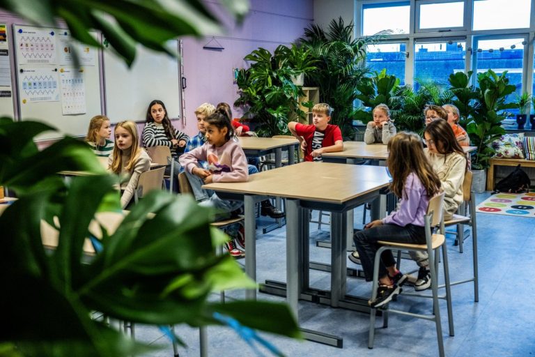 GELDERLAND — Basisscholen in Gelderland maken kans op vergroening van de klas met Jungleklas winactie