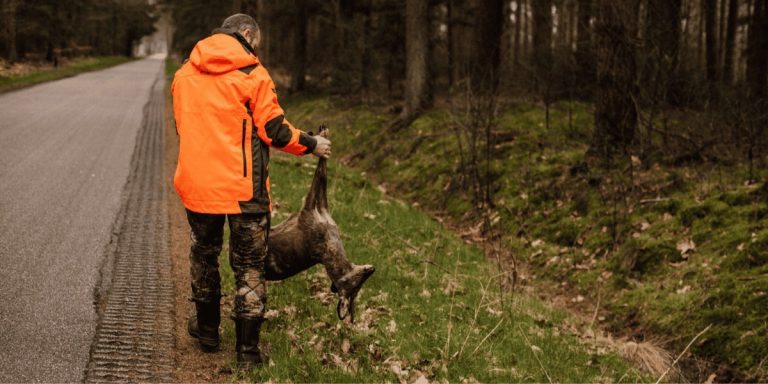 GELDERLAND — Start wintertijd verhoogt risico op wildaanrijdingen, jagers spelen cruciale rol