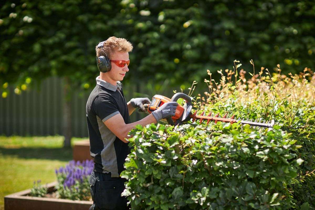 Foto bij Persbericht Doetinchem van opleiding Tuin & landschap