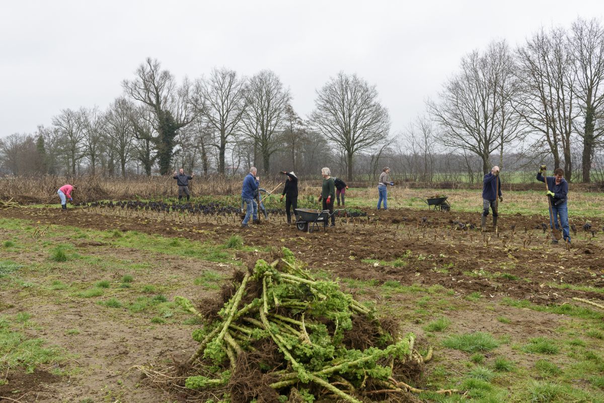 Meewerkdag bedden leegmaken 0036