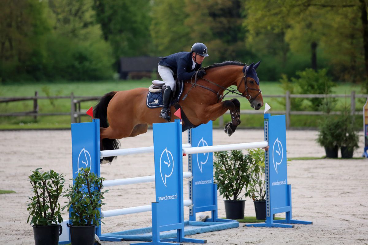 Steven Veldhuis en Blom’s Larado O (Grandorado TN) winnen de 1.40m GP in Vragender. Foto Wendy Scholten