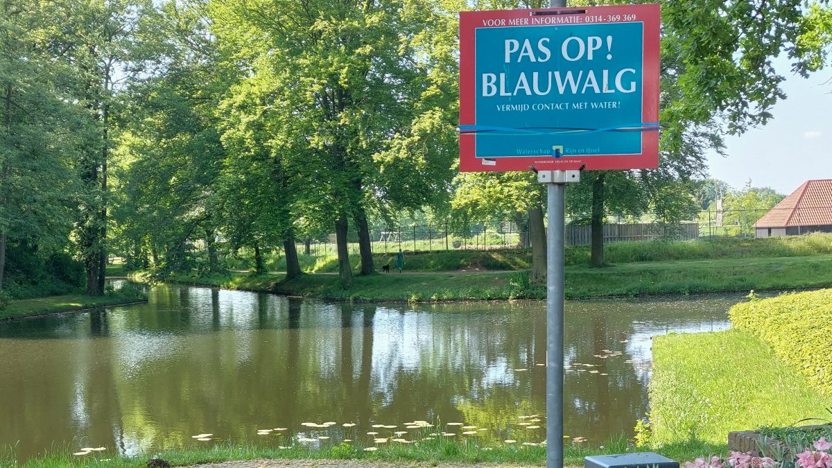 Blauwalgbord Gracht Groenlo-1