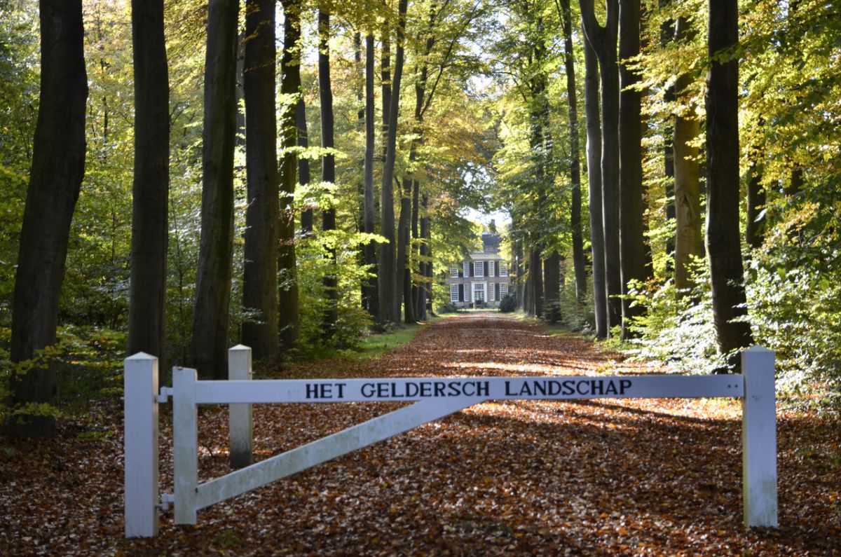 herfst-op-komst-kieftskamp-vorden-foto-ton-roelofs