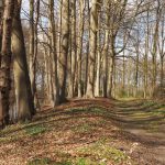 herfst-rond-kastelen-landgoed-de-voorst