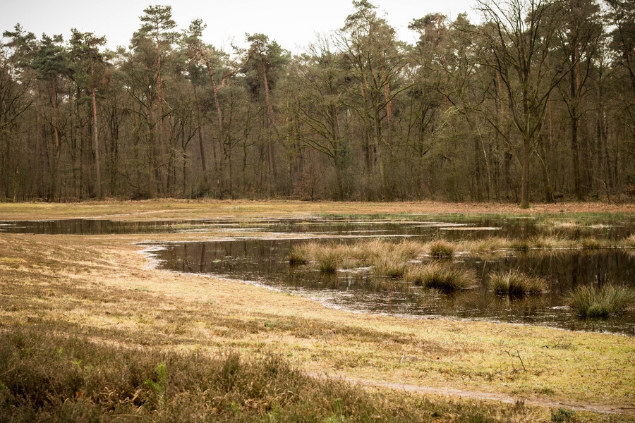 winterwandeling-landgoed-hagen-foto-robert-nijhuis