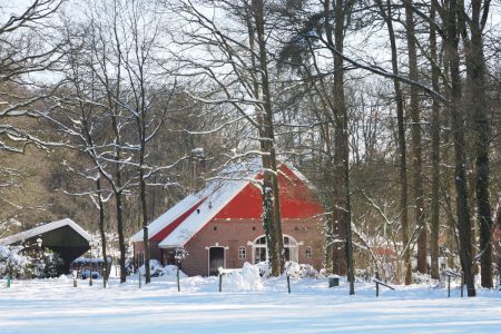 Lange-winterwandeling-Ratum-Meester-Kok--Nico-Kloek