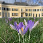 korkussen op Huis Landfort