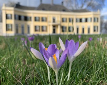 korkussen op Huis Landfort