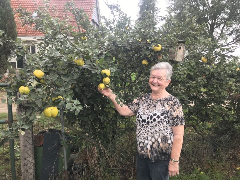 Kronenkamp - foto - gemaakt door Barbara Parvanati van Ria Olyslager